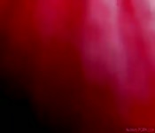 Tiny teen enjoys car sex