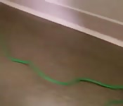 Segretaria sposata prende ciò che può dal riparatore