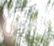 Usata dalla matrigna cattiva