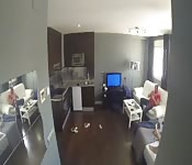 Ragazza latina in carne sbatte la sua figa